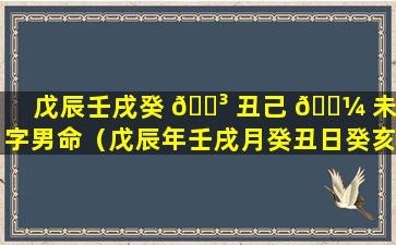 戊辰壬戌癸 🌳 丑己 🐼 未八字男命（戊辰年壬戌月癸丑日癸亥时论命）